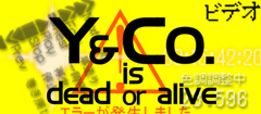 Y&Co. is dead or alive